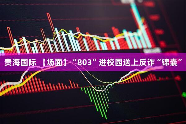 贵海国际 【场面】“803”进校园送上反诈“锦囊”